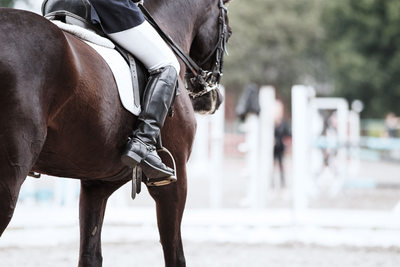 Equestrian